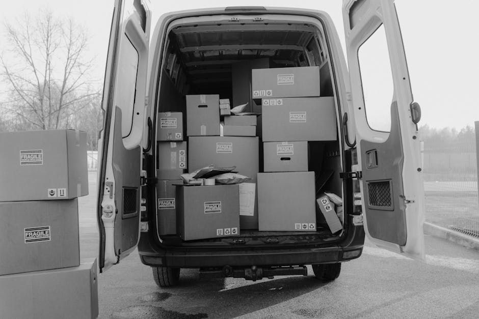 The interior of a white van parked outside a property, loaded with several cardboard boxes positioned upright on the left side and a black plastic crate on the right filled with fresh vegetables such as lettuce, oranges, and purple cabbages. The boxes are sealed with packing tape and feature labels, indicating they contain household items or supplies for a home relocation. The van has a spacious cargo area with a metal partition separating the driver’s cabin from the load. The loading area is illuminated by natural daylight, and the items are arranged to ensure secure transport during furniture and packing moving processes, supported by Man and Van Covent Garden’s house removals services in the busy area near Covent Garden, London.
